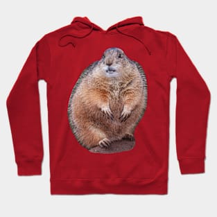 Fluffy Prairie dog Hoodie